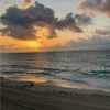islabrookie702